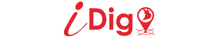Logo-IDig